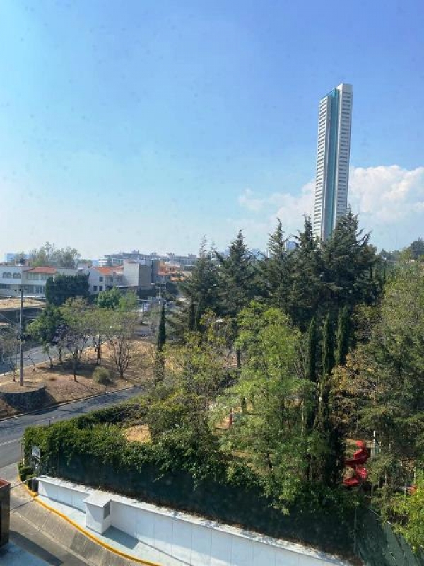 paseo de los laureles. 4 oficinas que se rentan juntas. uso comercial también