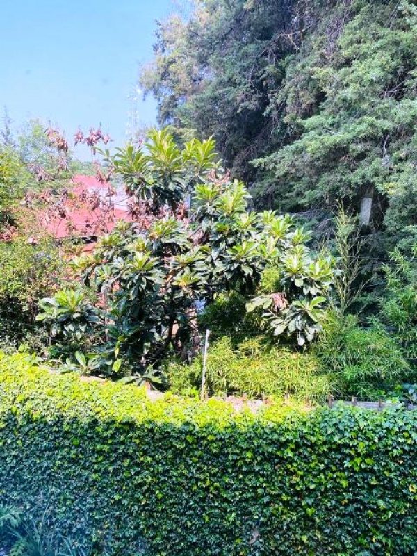 josé ma. castorena, cuajimalpa, casa muy moderna en condominio en venta