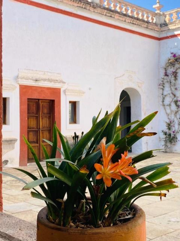 hacienda con casco precioso a 10 min de tequisquiapan, qro