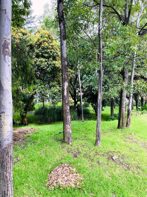 carr. mex-toluca terreno en fracc, junto al hotel suites y villas contadero