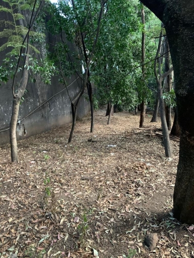 terreno-venta-jardines del pedregal-inversionistas