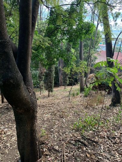 terreno-venta-jardines del pedregal-inversionistas