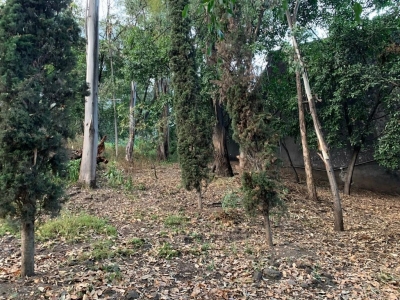 terreno-venta-jardines del pedregal-inversionistas