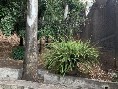 terreno-venta-jardines del pedregal-inversionistas