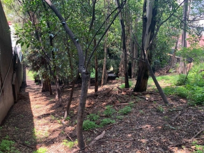 terreno-venta-jardines del pedregal-inversionistas