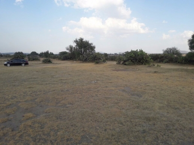 terreno -  venta inversionistas - camino piramides-edo.de mexico