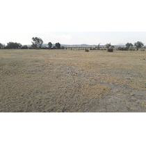 terreno -  venta inversionistas - camino piramides-edo.de mexico