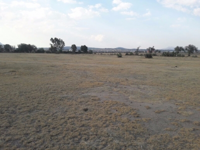 terreno -  venta inversionistas - camino piramides-edo.de mexico