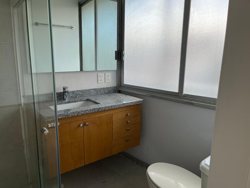 Renta Departamento  En Polanco, Seneca, Zona Parque Lincoln