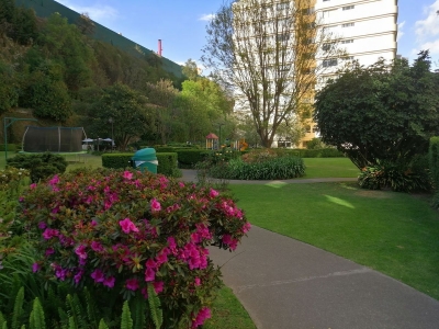 departamento venta o renta, herradura, privilege