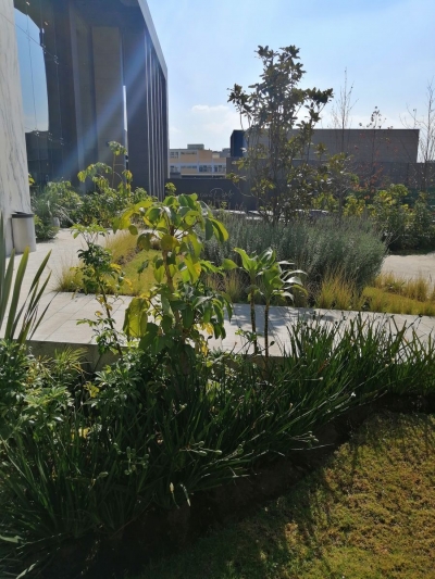 venta  departamento, be grand park bosques, entre interlomas y bosques