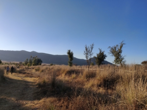 Terreno En Venta En Los Reflejos, Tapalpa