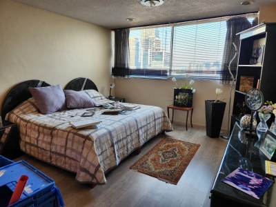 Departamento En Renta En Polanco
