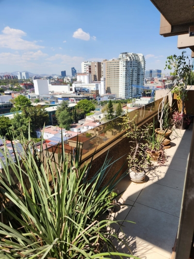 Departamento En Renta En Polanco