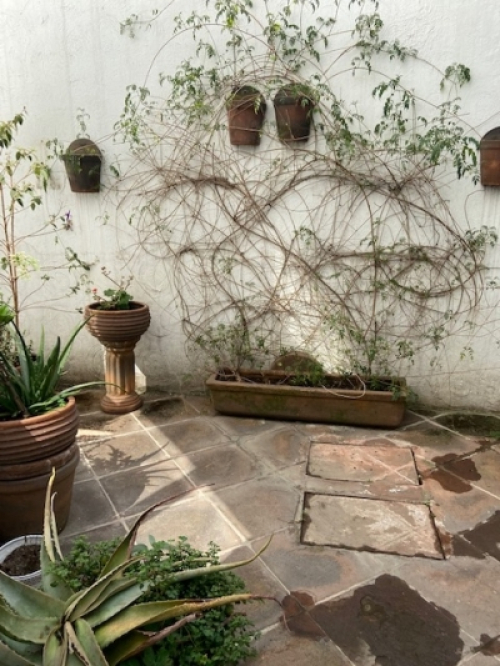 Casa En Venta En Lomas De Vista Hermosa