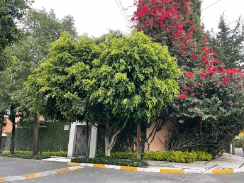 Casa En Venta En Tecamachalco