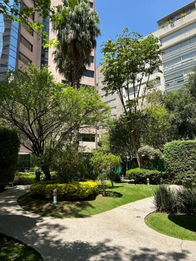 Departamento en Renta en Lomas de Chapultepec