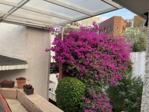 Casa VENTA Santa Fe Frente A La IBERO Paseo De Las Lomas