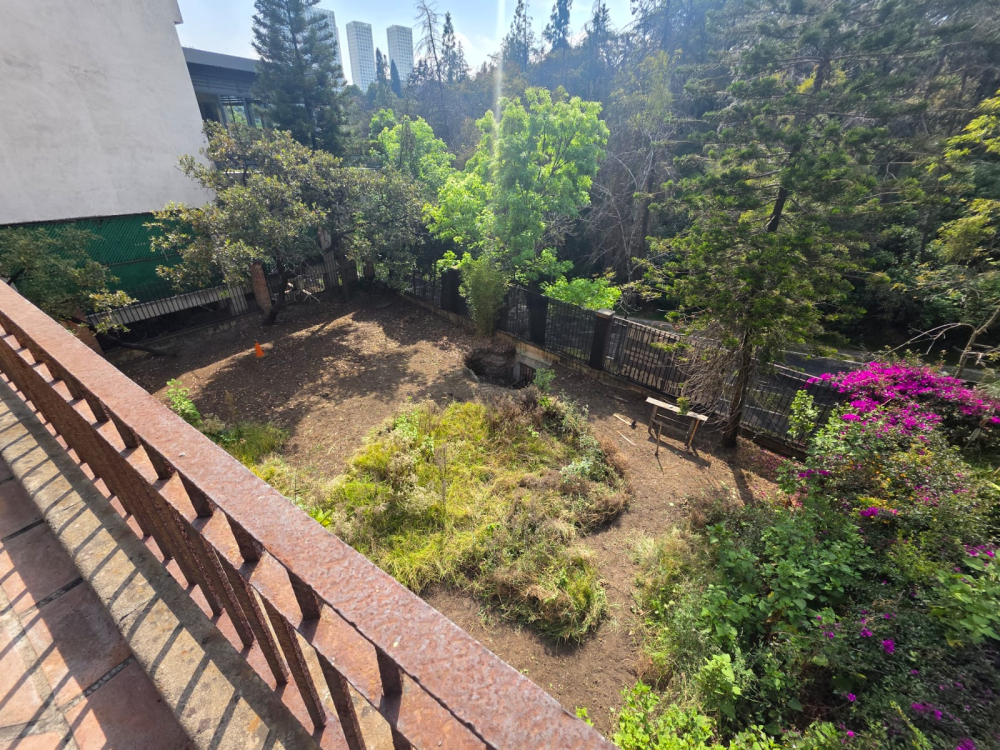  Predio En Venta En Bosques De Las Lomas  
