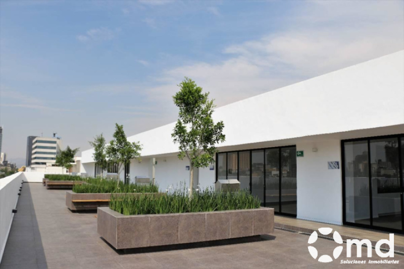 Departamento En Renta Amueblado Y Equipado Cerca Av Chapultepec