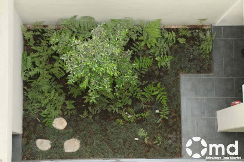 Departamento En Renta Amueblado Y Equipado Cerca Av Chapultepec