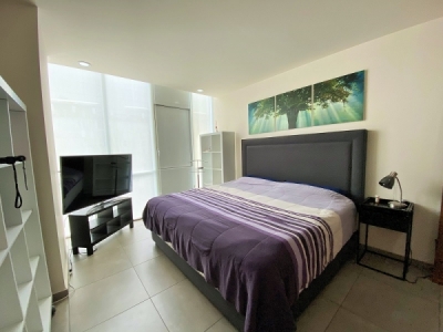 Acogedor departamento en Renta completamente amueblado y equipado en Plaza Carso, torre Claudel