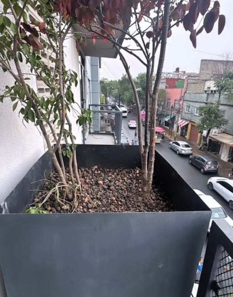 Departamentos VENTA Colonia Guerrero PRE-VENTA Alc Cuauhtemoc