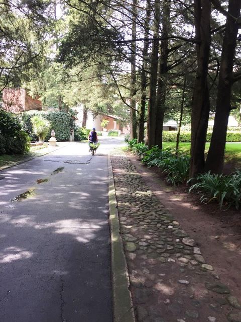 desarrollo tenis, frente a rancho san francisco, terreno en venta