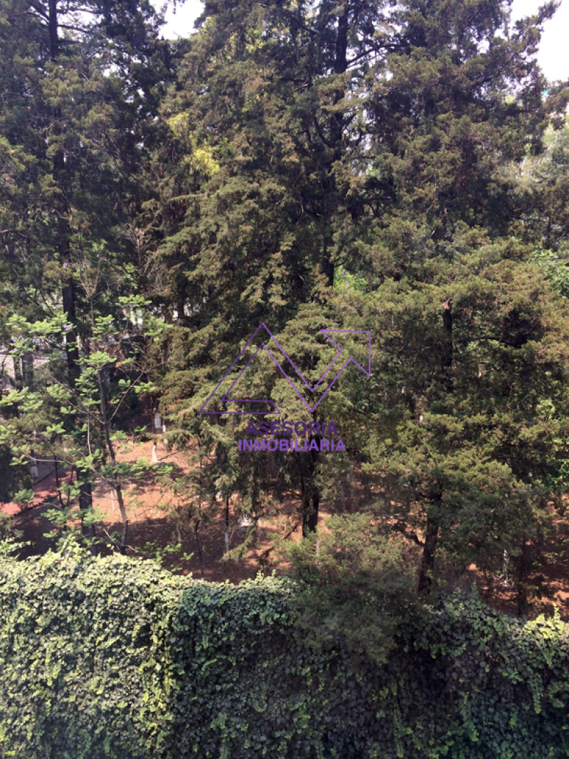 Departamento En Renta En Lomas De Chapultepec