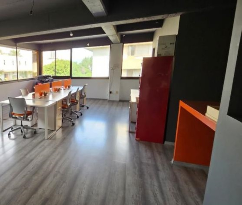 Oficinas En Renta Colonia  San Rafael