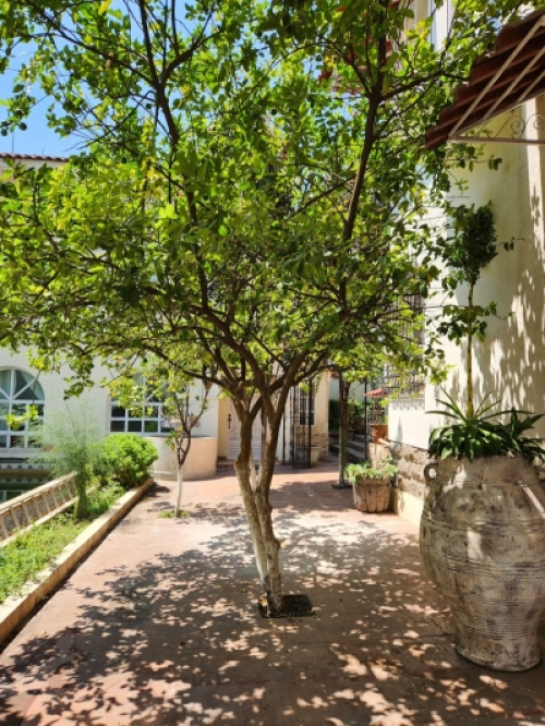 Increíble Casa En Venta En Lomas De Chapultepec