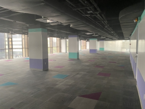 Oficina Polanco 765 m2 Horacio