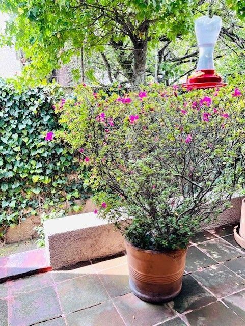 Casa Venta en Bosques de las Lomas