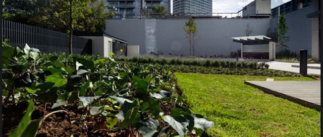 Renta Oficinas en Polanco