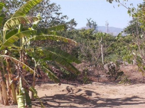 Terreno VENTA Autopista Del Sol Direccion CDMX Acapulco, Gro