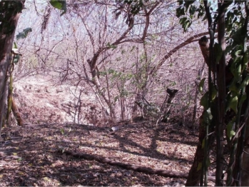 Terreno VENTA Autopista Del Sol Direccion CDMX Acapulco, Gro
