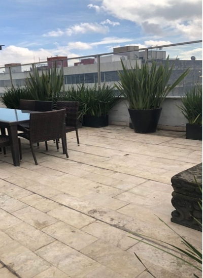 polanco magnífico ph en venta