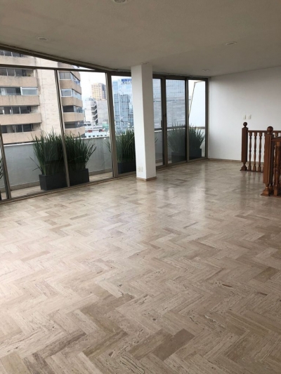 polanco magnífico ph en venta