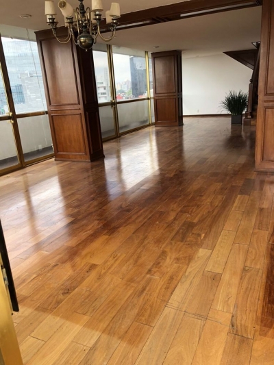 polanco magnífico ph en venta