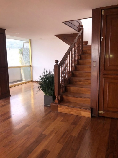 polanco magnífico ph en venta