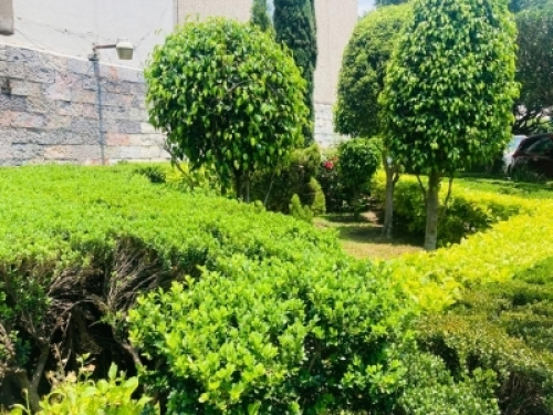 Departamento En Venta   Col. Del Valle, Exterior Con Terraza