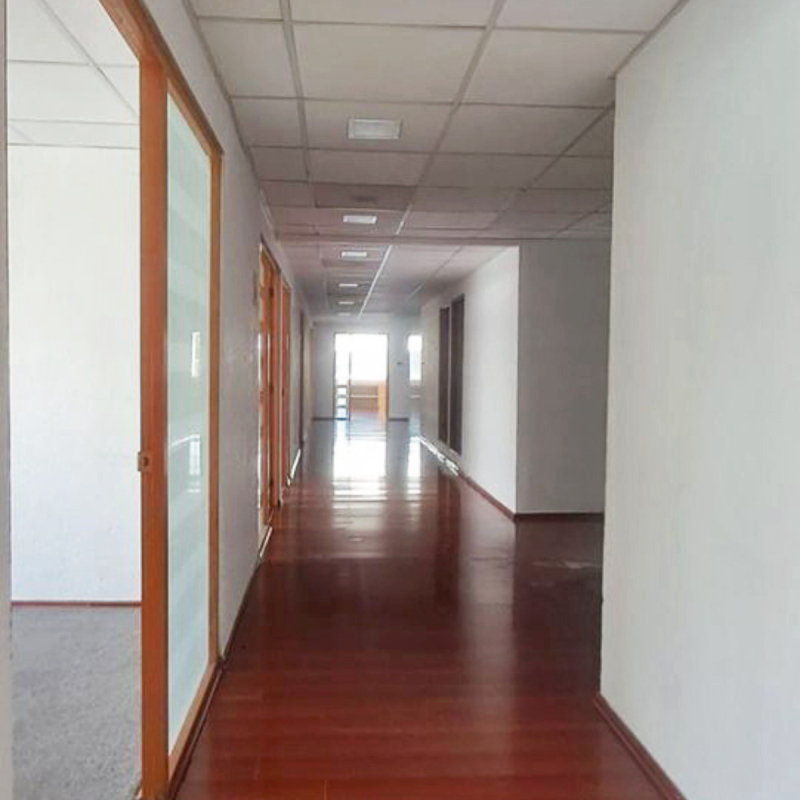RENTA OFICINA 700 M2, CIRUELOS , MIGUEL HIDALGO