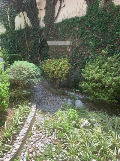 CASA EN VENTA BOSQUE DE LAS LOMAS