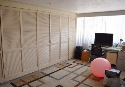 DEPARTAMENTO EN VENTA  POLANCO