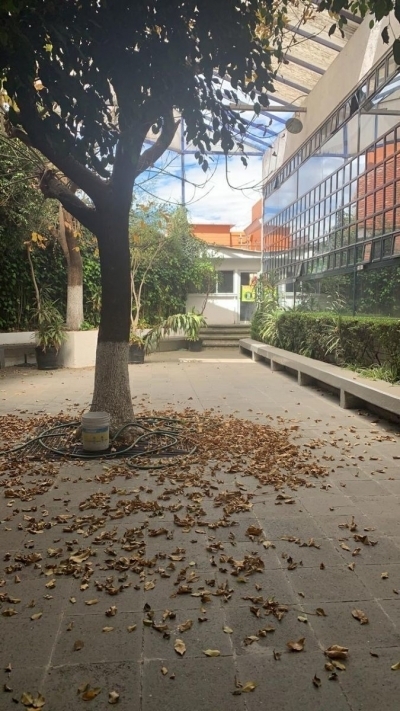 EDIFICIO EN VENTA Y RENTA LOMAS VERDES