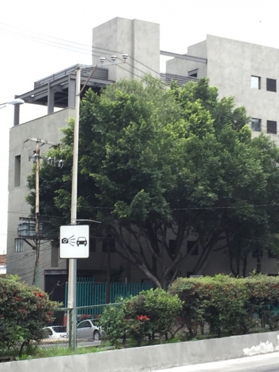 VENTA EDIFICIO SAN MIGUEL CHAPULTEPEC