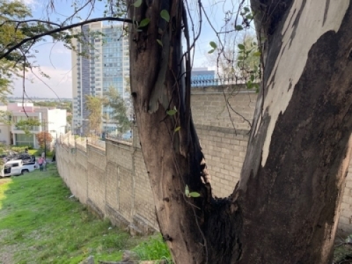 Terreno En Venta En Los Frailes En Zapopan
