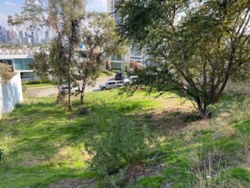 Terreno En Venta En Los Frailes En Zapopan
