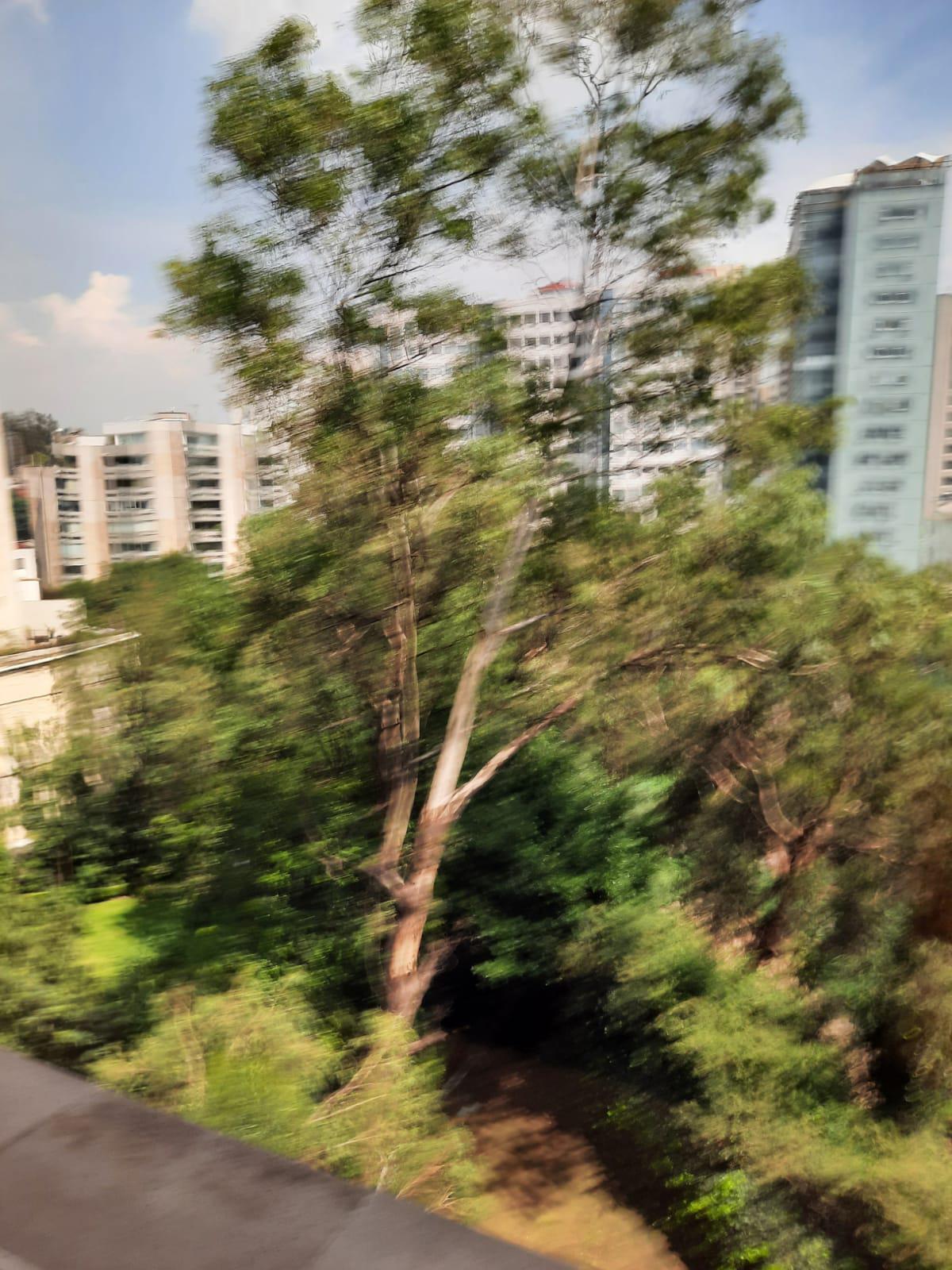 departamento en venta lomas de chapultepec