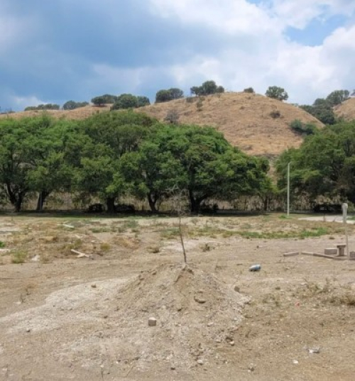 Se Venden Terrenos En Bosques De Santa Anita